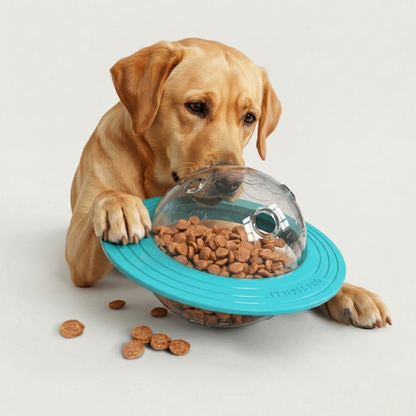 OrbitIQ 3-in-1 Interactive Dog Toy