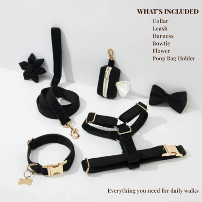 Black Velvet Set