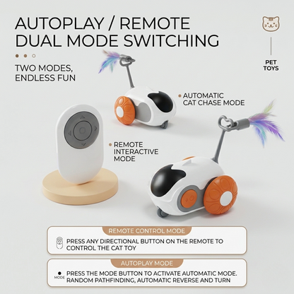 Remote Control Chase Cat Toy
