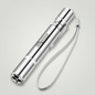 3-in-1 Laser Pet Toy & UV Flashlight Pen