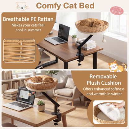 Cat Desk Bed with Removable Padded Cushion for Indoor Cats