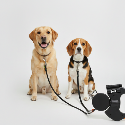 Dual Dog Leash with Anti-Tangle Rotation