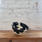 Dog Bowl