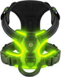 Rechargeable LED No-Pull Dog Harness Vest for Night Safety