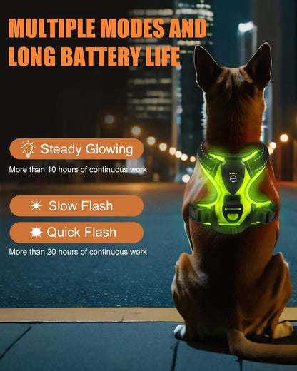 Rechargeable LED No-Pull Dog Harness Vest for Night Safety