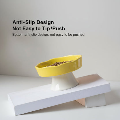 Ceramic Elevated Slow Feeder Bowl