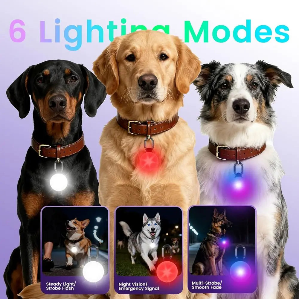 2-in-1 GPS Tracker & Dog Light - Smart Tracking Pet LED Light for iOS Only - Rechargeable,  Waterproof Dog Collar Light.