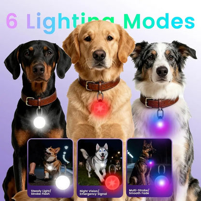 2-in-1 GPS Tracker & Dog Light - Smart Tracking Pet LED Light for iOS Only - Rechargeable,  Waterproof Dog Collar Light.