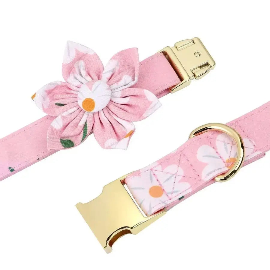 Cute Girl Dog Collars, Harnesses amd leashe  Adjustable Dog Collar and Leash Set with Soft Mesh .