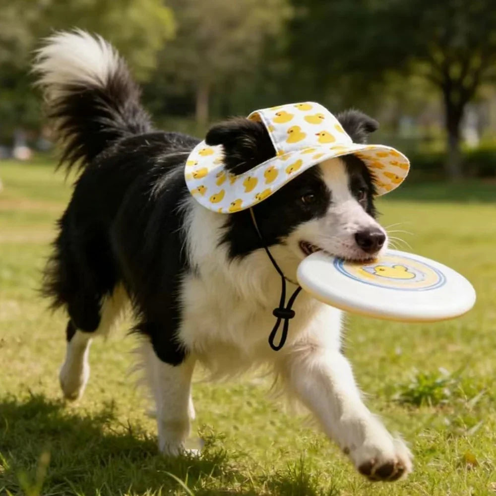 Cute Print Dog Hat for Small Medium Dogs | Adjustable Pet Cap for Pug Corgi Dachshund