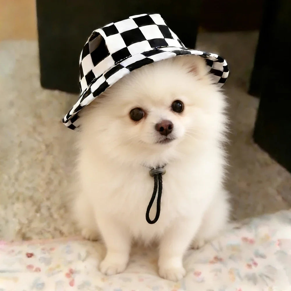 Cute Print Dog Hat for Small Medium Dogs | Adjustable Pet Cap for Pug Corgi Dachshund