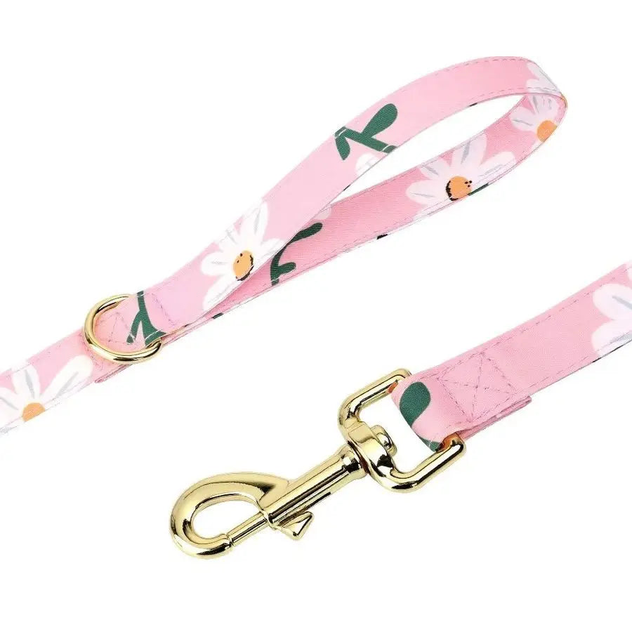 Cute Girl Dog Collars, Harnesses amd leashe  Adjustable Dog Collar and Leash Set with Soft Mesh .