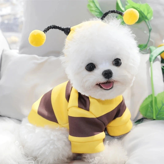 Cute Bee Costume pet Hoodie or costume.