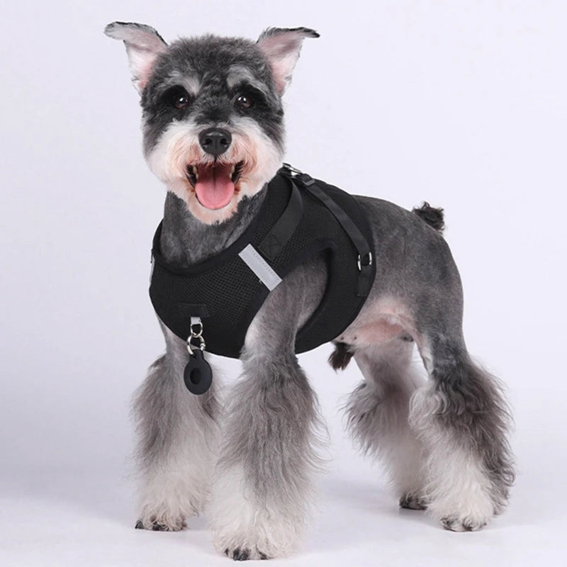 Pet Harness With Airtag Tracker And Leash Sets .