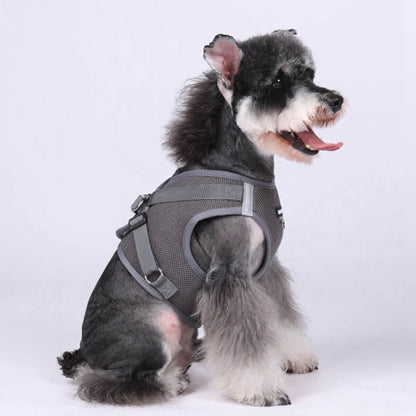 Pet Harness With Airtag Tracker And Leash Sets .