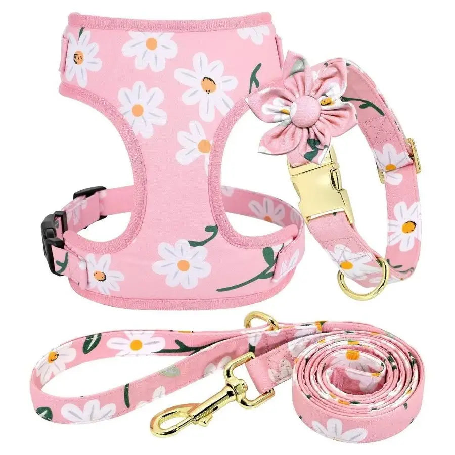Cute Girl Dog Collars, Harnesses amd leashe  Adjustable Dog Collar and Leash Set with Soft Mesh .
