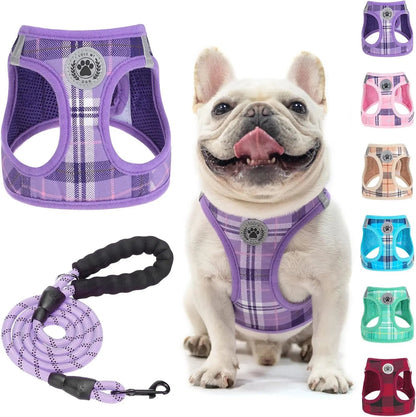 Step-In No-Pull Dog Harness & Leash Set, Reflective
