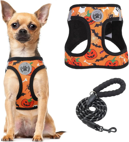 Step-In No-Pull Dog Harness & Leash Set, Reflective