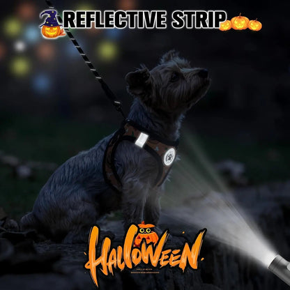 Step-In No-Pull Dog Harness & Leash Set, Reflective