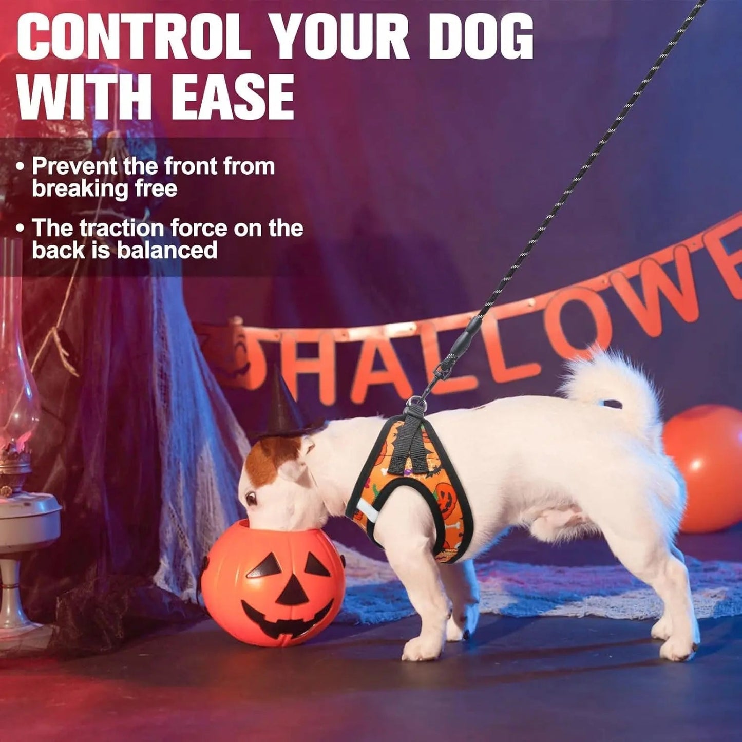 Step-In No-Pull Dog Harness & Leash Set, Reflective