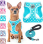 Step-In No-Pull Dog Harness & Leash Set, Reflective