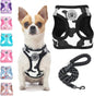 Step-In No-Pull Dog Harness & Leash Set, Reflective