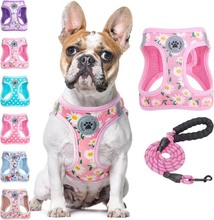 Step-In No-Pull Dog Harness & Leash Set, Reflective