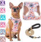 Step-In No-Pull Dog Harness & Leash Set, Reflective