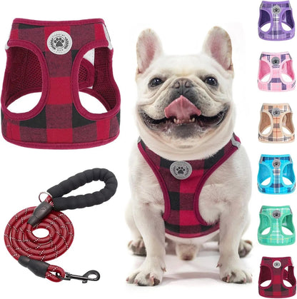 Step-In No-Pull Dog Harness & Leash Set, Reflective