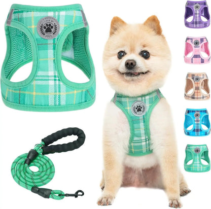 Step-In No-Pull Dog Harness & Leash Set, Reflective