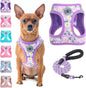 Step-In No-Pull Dog Harness & Leash Set, Reflective