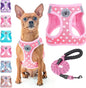Step-In No-Pull Dog Harness & Leash Set, Reflective