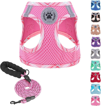 Step-In No-Pull Dog Harness & Leash Set, Reflective