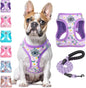 Step-In No-Pull Dog Harness & Leash Set, Reflective