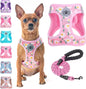 Step-In No-Pull Dog Harness & Leash Set, Reflective