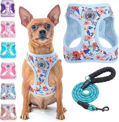 Step-In No-Pull Dog Harness & Leash Set, Reflective