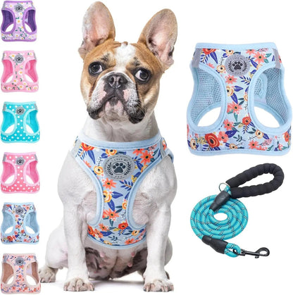 Step-In No-Pull Dog Harness & Leash Set, Reflective