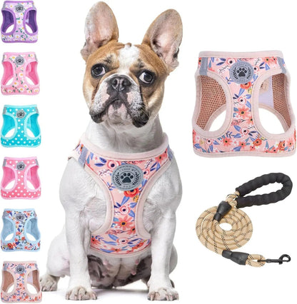 Step-In No-Pull Dog Harness & Leash Set, Reflective