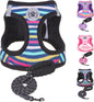 Step-In No-Pull Dog Harness & Leash Set, Reflective
