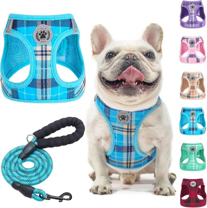 Step-In No-Pull Dog Harness & Leash Set, Reflective