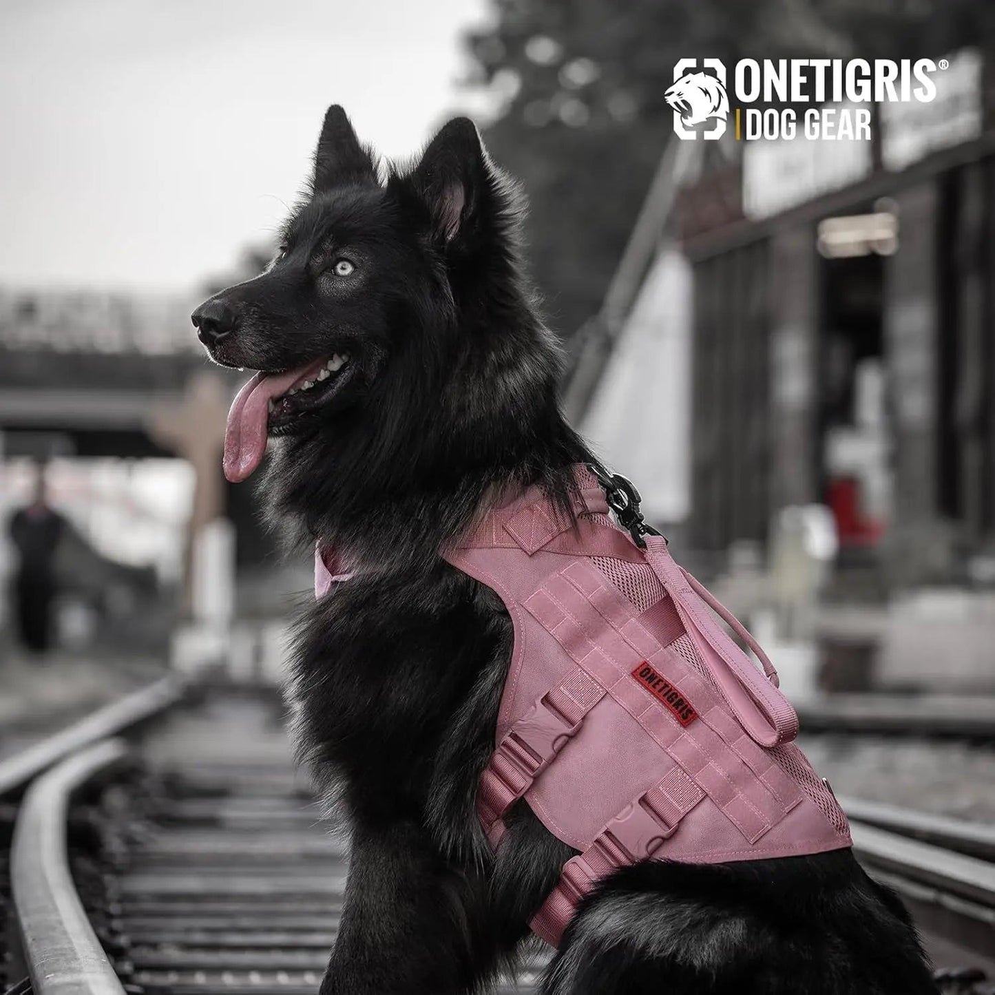 Tactical No-Pull Dog Harness – Mesh MOLLE Vest with Dual Handles