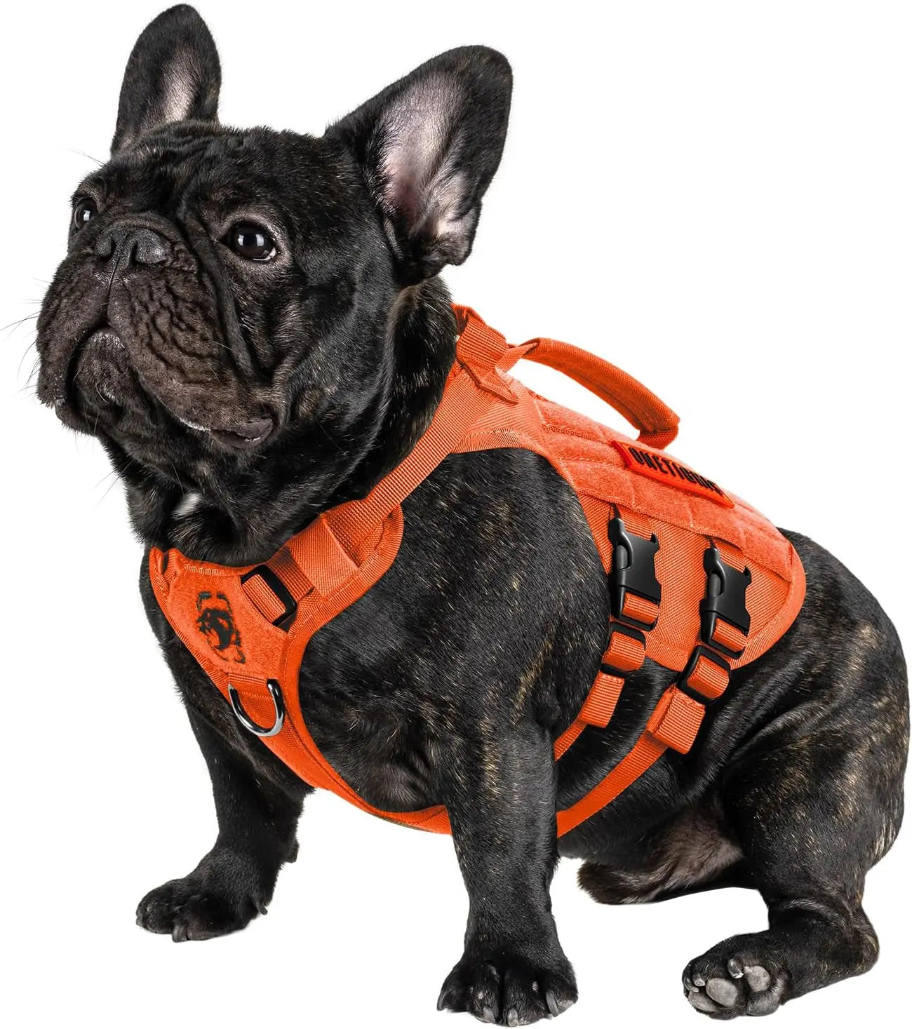 Tactical No-Pull Dog Harness – Mesh MOLLE Vest with Dual Handles