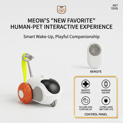 Remote Control Chase Cat Toy