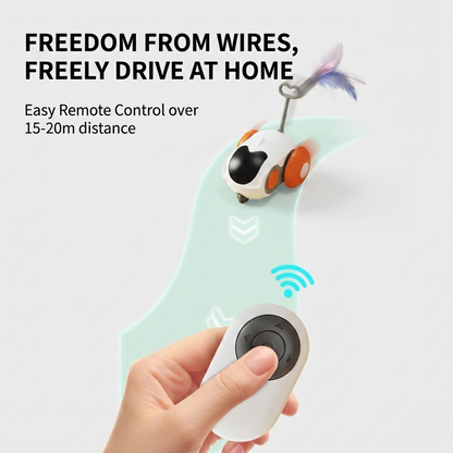 Remote Control Chase Cat Toy