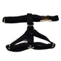 Black Velvet Set