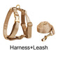 Gold Satin Wedding Set
