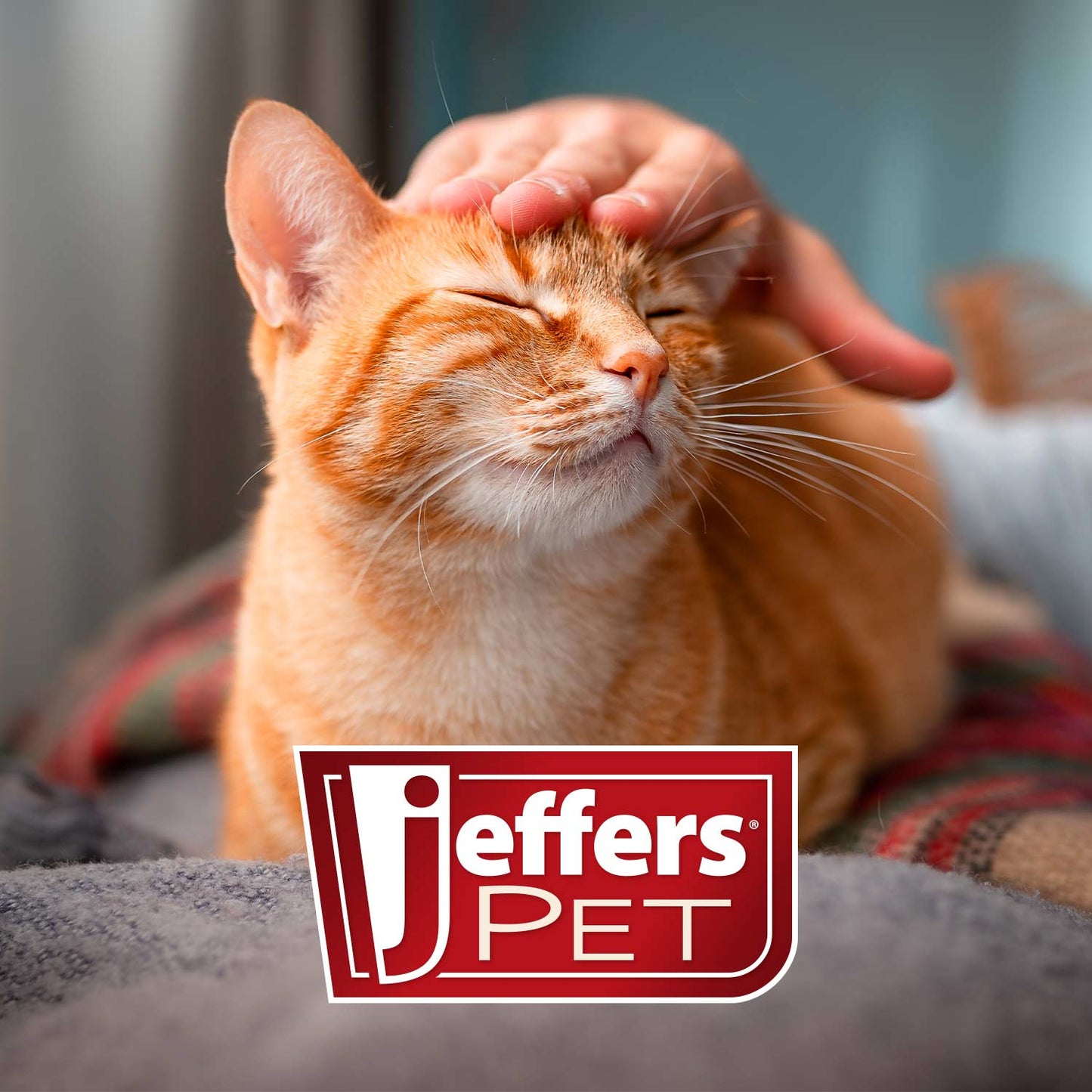 Jeffers Pin Brush for Pet Grooming