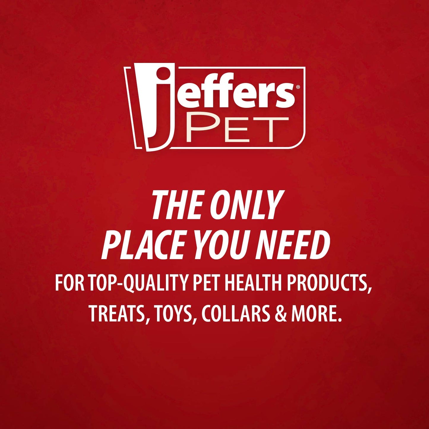 Jeffers Pin Brush for Pet Grooming