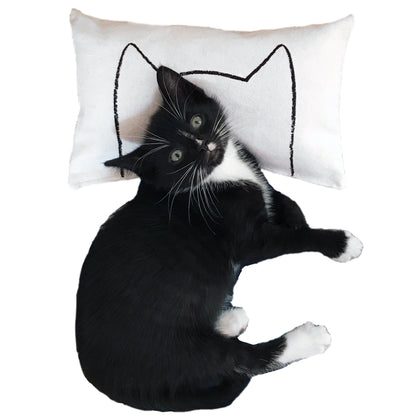 Cat Kicker Bed Pillow Catnip Kicker Toy
