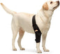 NeoAlly Elbow and Shoulder Brace for Dogs and Cats - Optimal Support for Pet Mobility